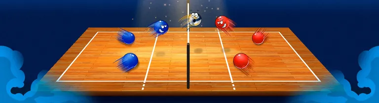 Liga internațională de volei